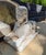 A handsome Pair of Garden statues. Modeled after the great sphinx in Egypt. Originally made in France, these garden...