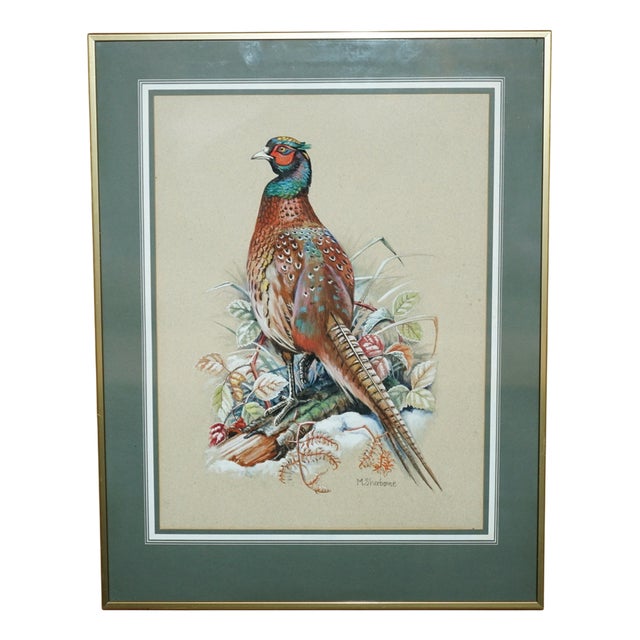 M Shermorne, Pheasant, Ornithology Watercolour For Sale