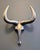 Traveling Man Treasures is selling this vintage 1980s polished aluminum Longhorn Steer minimalist sculptural wall art...