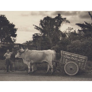 Hanna Seidel, Costa Rica, 1960s, Black & White Photography For Sale