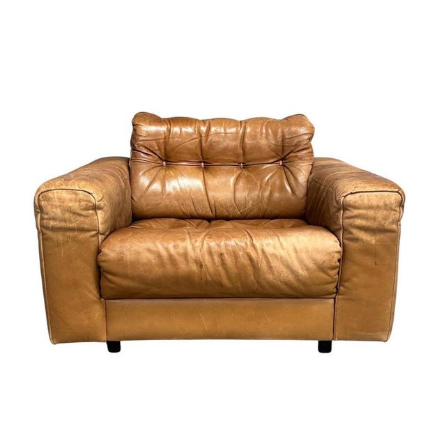 DS40 Lounge Chair by Robert Haussmann for De Sede, 1970s For Sale - Image 14 of 14