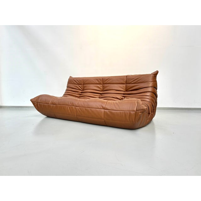 1970s Togo Three-Seater Sofa in Dark Cognac Leather by Michel Ducaroy for Ligne Roset For Sale - Image 5 of 12