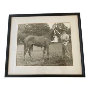 Early 20th Century Framed Equestrian Black and White Photo Signed by Listed Photographer Harry Freudy