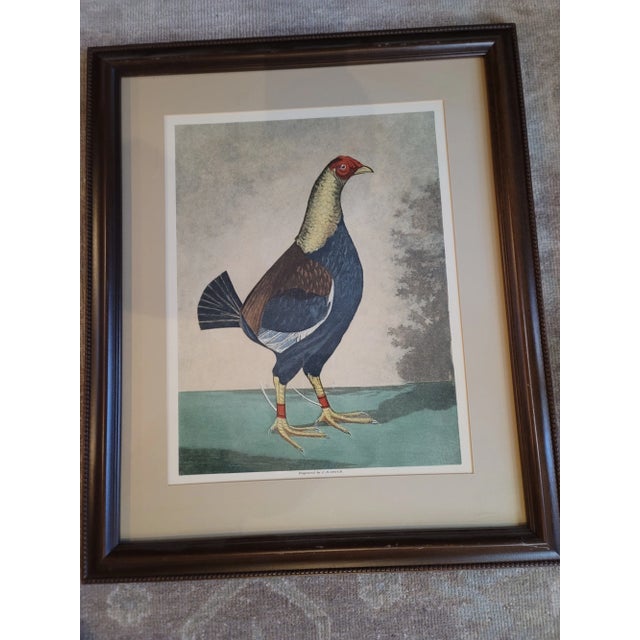 Rooster-Late 19th Century Cr Stock Lithograph - Cockerel Rooster - Set of 2 For Sale - Image 4 of 7