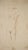Fritz Uphoff, Standing Nude, 1930, Chalk Drawing For Sale