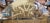 Fine and Unusual Antique Art Deco Mirror For Sale - Image 11 of 15