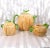 This is a cantelope shaped teapot with lid, sugar bowl with lid and creamer by The Haidon Group. The set is marked as...