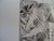 Mily Possoz, The Cat's Nap, Original Signed Engraving For Sale - Image 4 of 8
