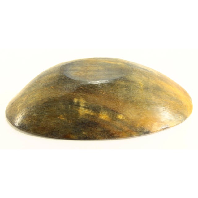 19th Century Large Oval Cattle Horn Bowl For Sale - Image 12 of 12