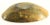 19th Century Large Oval Cattle Horn Bowl For Sale - Image 12 of 12