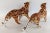 1970s 1970s Vintage Ceramic Cheetah Leopard Figurines - a Pair For Sale - Image 5 of 13