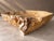 Brutalist Antique Natural Onyx Stone Bowl | Handcrafted Organic Stone Bowl | Brutalist Tabletop Sculpture by Zarva Stone For Sale - Image 3 of 5