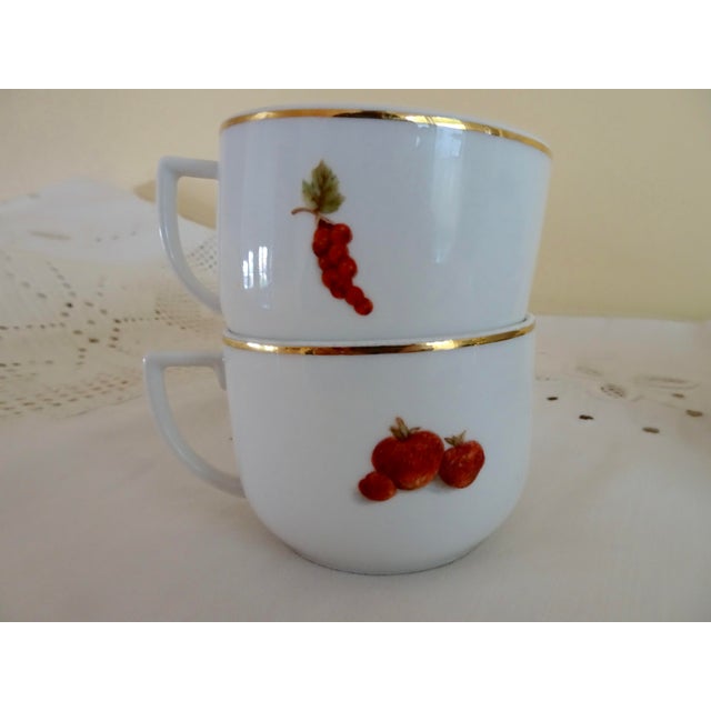 Seltmann Weiden Harvest Plates, Cups, and Saucers - Set of 4 For Sale In San Francisco - Image 6 of 9