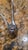 Mid 20th Century Antique French Christofle Silver-Plated Fluted Asparagus & Pastry Tongs For Sale - Image 5 of 6