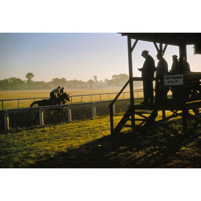 Morning Training At Saratago by Toni Frissell A racehorse at morning training, Saratoga, USA, 1960. (Photo by Toni...