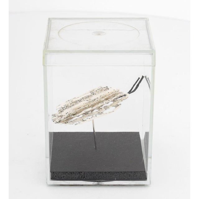 White Doug Beube Book Bug Paper and Steel Pin Sculpture For Sale - Image 8 of 9