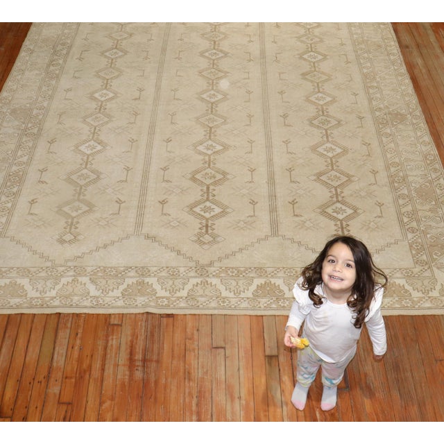 Mid 20th Century Turkish Anatolian Rug - 8'11" x 12' For Sale - Image 17 of 18