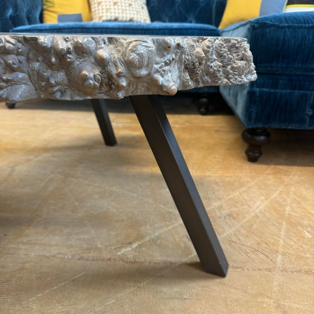 2020s Lake Shore Mappa Burl Live Edge Cocktail Table For Sale - Image 5 of 5