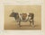 Borie, Breton Ox, French Cattle Breed, 1863, Paper For Sale - Image 9 of 9
