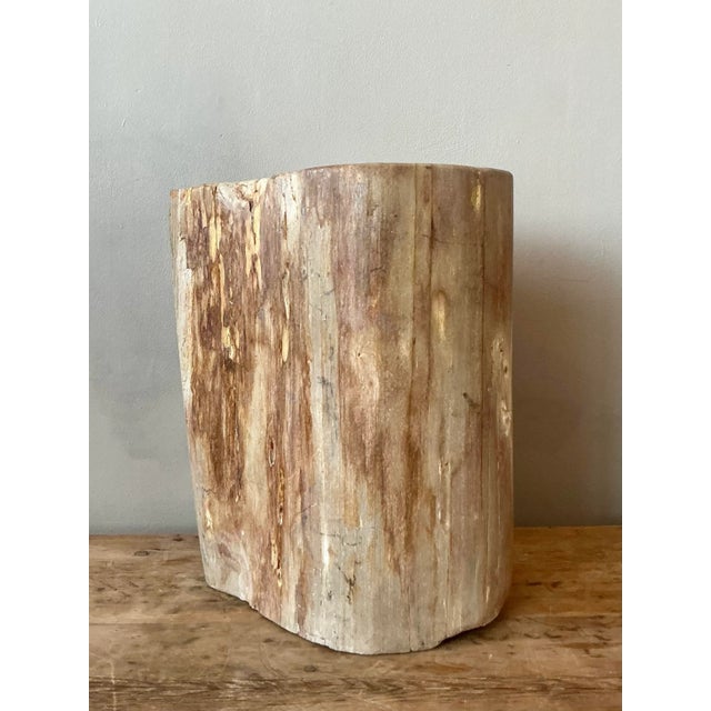 Discover a truly unique piece with this vintage petrified wood stool, a stunning example of nature's artistry transformed...