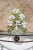 20th Century Italian/Venetian Blown Glass Botanical Candelabra For Sale - Image 4 of 8