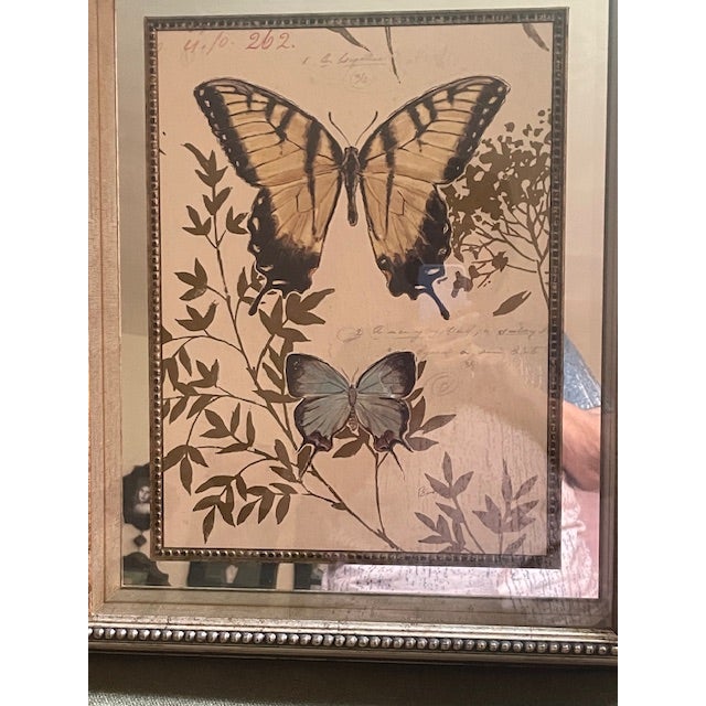 1990s Chad Barrett, Butterfly Print Mirrored Framed Shadowbox For Sale - Image 4 of 11
