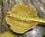 Vintage Mid-Century Modern Pinzon Pottery Stacking Cabbage Bowls - Set of 3 For Sale In Phoenix - Image 6 of 7