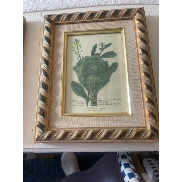 Arts & Crafts 1940s Set of Small Botanical Prints in Gold Frame For Sale - Image 3 of 8