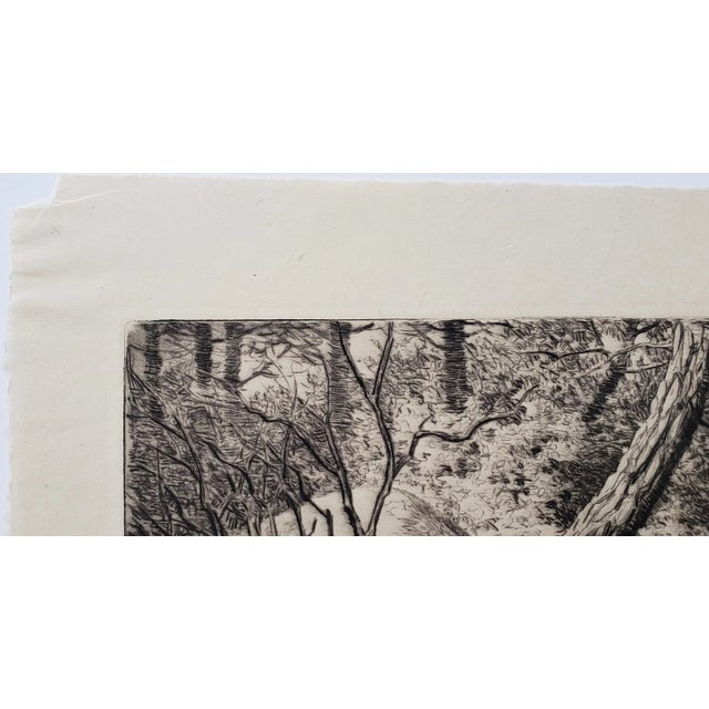 1930s Rodney Thomson (American, 1878-1941) "The Watcher" Drypoint Etching Trial Proof C.1930 For Sale - Image 5 of 12