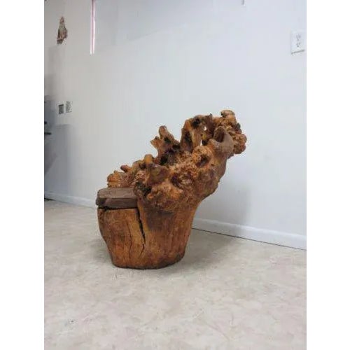 Vintage Mid Century Free Form Live Edge Root Lounge Chair For Sale - Image 10 of 11