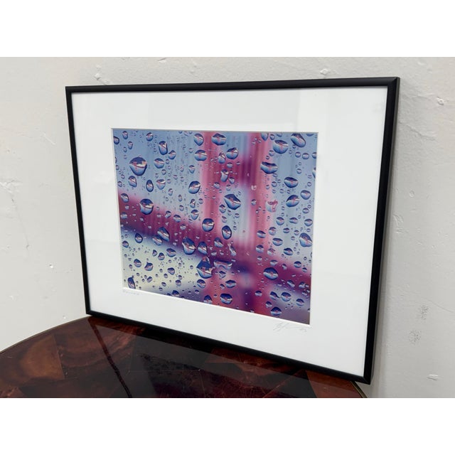 Design Plus Gallery presents Raindrops, a Framed + Signed Color Photograph by Craig Fonarow. The photograph was purchased...