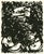 Extremely rare, original serigraph (silkscreen) after the black and white pour painting by Jackson Pollock, from the...