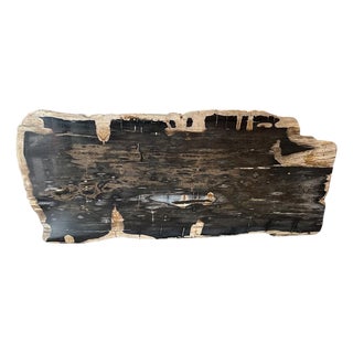 Andrianna Shamaris Live Edge Single Slab HighQuality Petrified Wood Dining Table For Sale