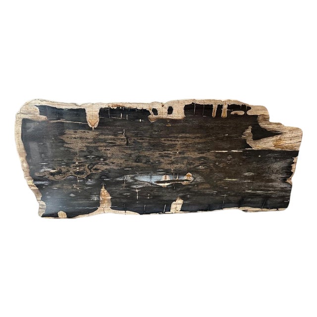 Andrianna Shamaris Live Edge Single Slab HighQuality Petrified Wood Dining Table For Sale