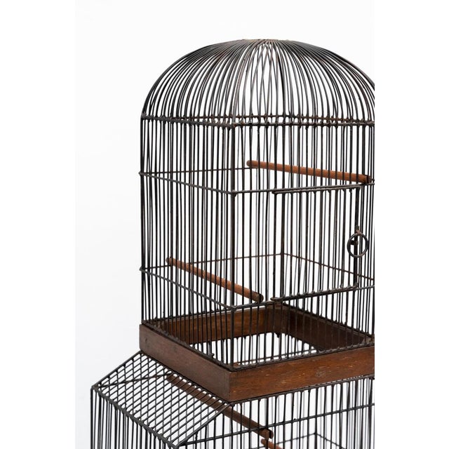 Metal Bird Cage, 1950s For Sale - Image 4 of 10