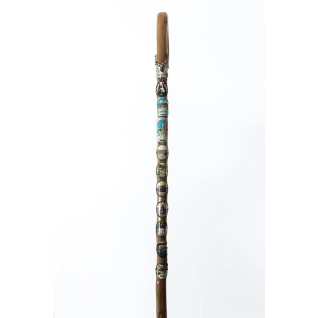 Vintage German Walking Sticks For Sale - Image 9 of 13