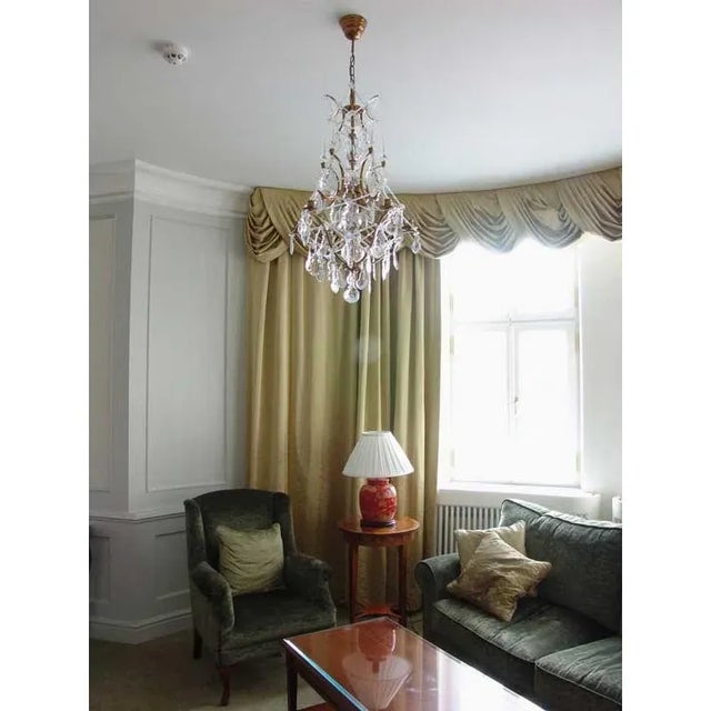 Classic Medium Size Rococo Crystal Chandelier For Sale In Greensboro - Image 6 of 11