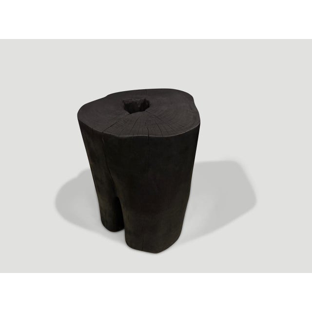 2010s Andrianna Shamaris Charred Lychee Wood Side Table For Sale - Image 5 of 6