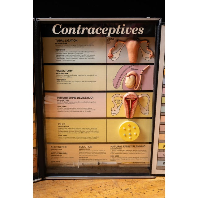 Plastic Vintage "A Guide to Contraceptives" Classroom Teaching Aid by Health Edco For Sale - Image 7 of 14