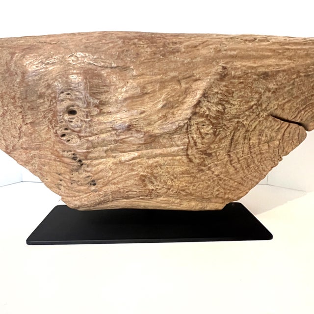 Wood Tribal Slit Drum Sculptural Accent Piece For Sale In San Antonio - Image 6 of 18