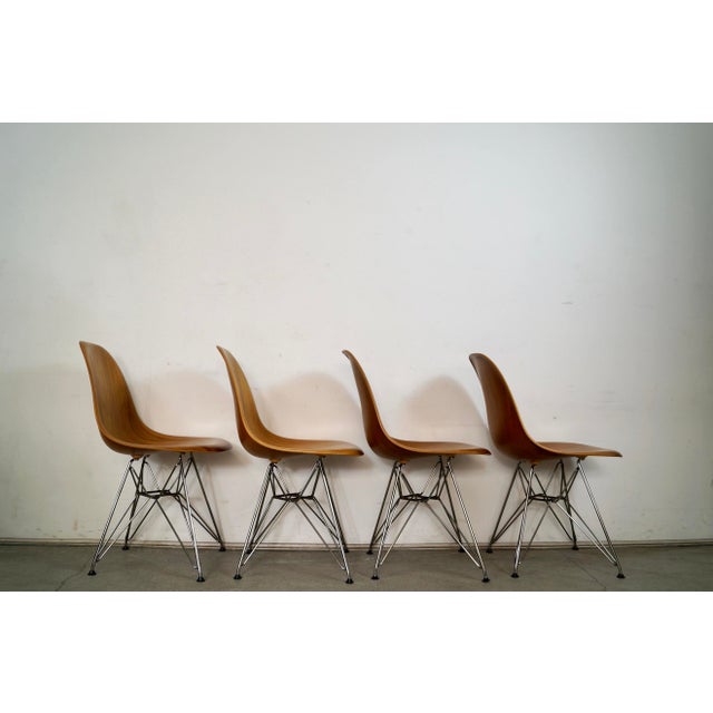 Herman Miller Set of 4 Authentic Herman Miller Eames Walnut Dining Chairs For Sale - Image 4 of 12