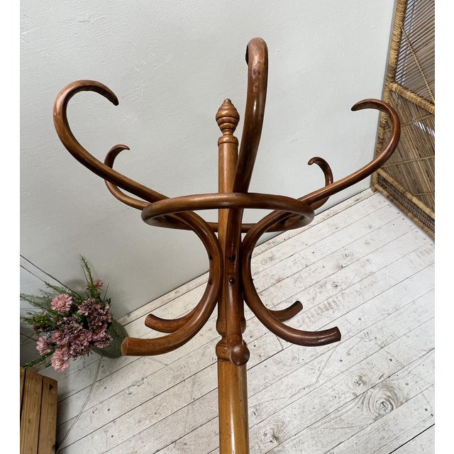 Free Standing Coat Rack in the style of Thonet, 1950s For Sale - Image 10 of 15