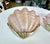 Pink Pair Art Deco Shell Clam Shaped Pink Glass Brass Wall Sconce For Sale - Image 8 of 18