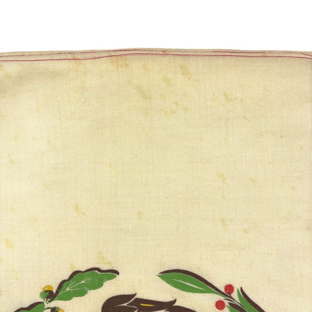 Mid 20th Century Vintage Wool Flag of Mexico For Sale - Image 5 of 8