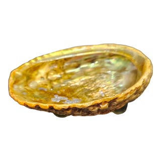 VTG Abalone Shell Footed Smudging Pearlescent Trinket Dish Shell Mid Century For Sale