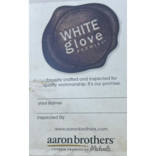 2000 - 2009 Nautical Poster of Shells & Beach Life of the New England Coast Framed Under Glass For Sale - Image 5 of 9