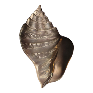 Vintage Brass Conch Sea Shell Wall Hanging