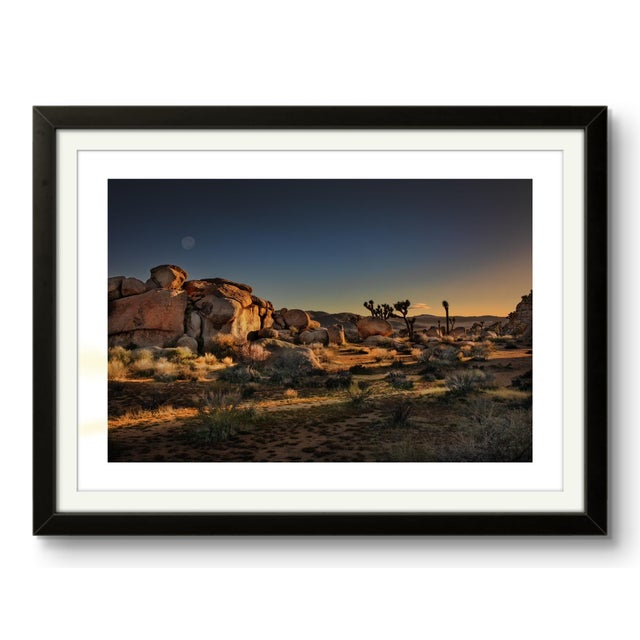 This is a limited edition photographic print, signed by the artist. The edition is limited to 10. The image is printed on...