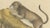 Karl Joseph Brodtmann, Lioness with Cubs, 1816, Lithograph For Sale - Image 6 of 10