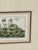 Vintage Framed Cyclamen Flower Print For Sale In New Orleans - Image 6 of 7